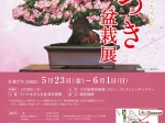 企画展「さつき盆栽展」さいたま市大宮盆栽美術館