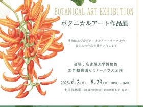 「ボタニカルアート作品展」名古屋大学博物館