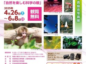 第45回SSP展「～自然を楽しむ科学の眼～」宮崎県総合博物館