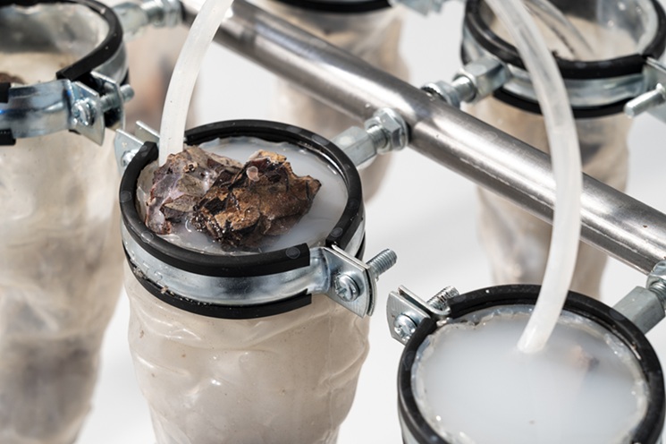 マヤ・エリン・マスダ 《Pour Your Body Out》 2023年 京都芸術センター
撮影：Takuya Matsumi