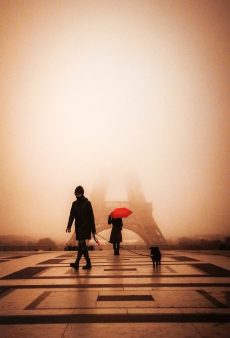 クレジット : Illusion © koji Noda / M84