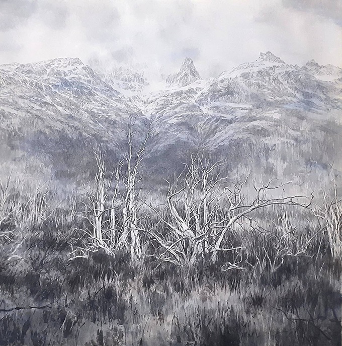 White wood, patagonia」40S