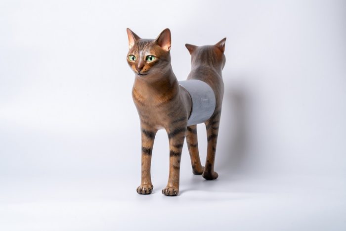 矢吹　多歌子

どちらに進めど私は私（もしくは私などない）

H36×W59×D12cm

ミクストメディア