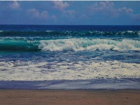 Blue Ocean 65 × 130 ㎝