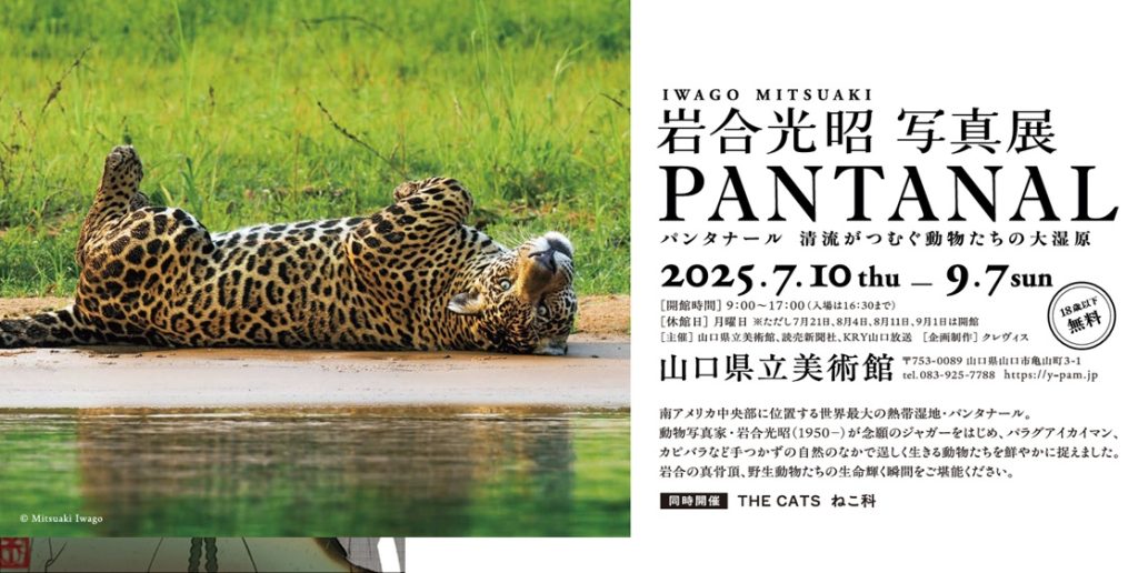 岩合光昭 写真展「PANTANAL　パンタナール　清流がつむぐ動物たちの大湿原」山口県立美術館