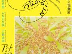 「みること、つくること、つながること 『Museum Start あいうえの』12年と現在地」東京都美術館