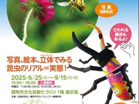 「昆虫のはなし　Let’s talk about insects」調布市文化会館たづくり展示室