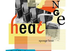 Bad Flesh + 田邉将 「Sponge Heat」COMPACT41