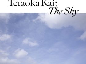 ザ・トライアングル「寺岡海：この空の下で」京都市京セラ美術館