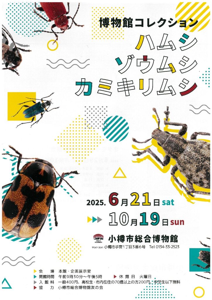 博物館コレクション「ハムシ ゾウムシ カミキリムシ」小樽市総合博物館