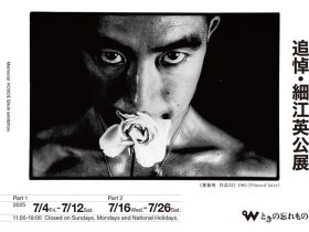 「追悼・細江英公展」ときの忘れもの