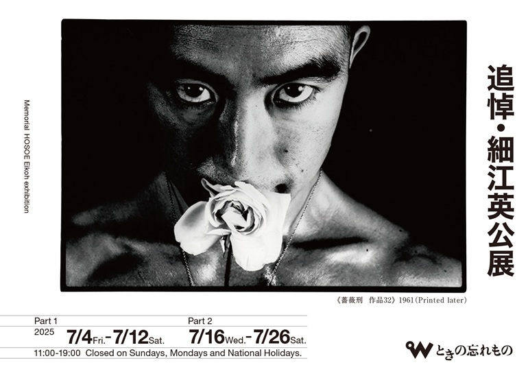 「追悼・細江英公展」ときの忘れもの