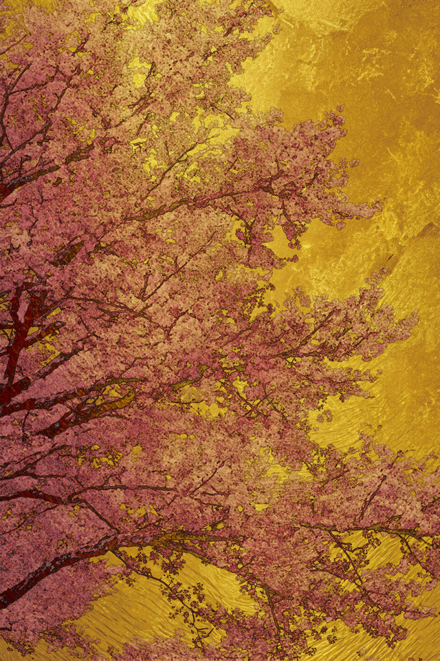 「石渡 亨 個展　 新釈琳派」ギャラリー同潤会