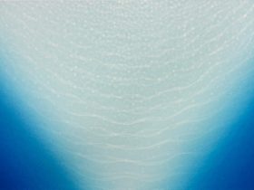 笠井正博 青い光の踊り 68.8cm×86.2cm 紙、シルクスクリーン