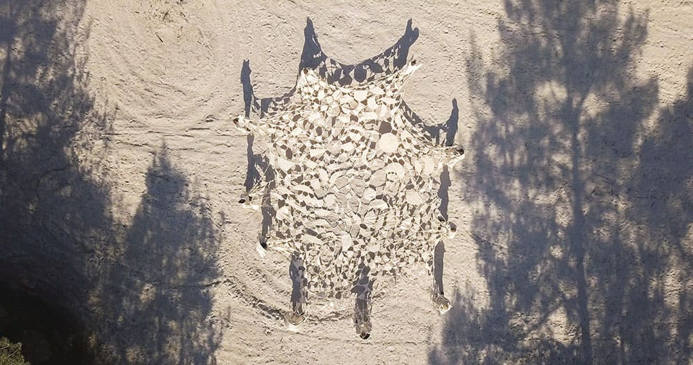 Nefeli Papadimouli | Être forêts (We Are Forests) | 2021 | Video installation | 13 分43 秒 ©Nefeli Papadimouli- Collection FRAC Grand Large — Hauts-de-France