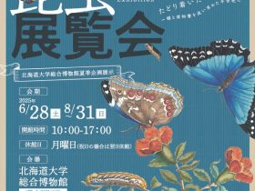 夏季企画展「人文的昆虫展覧会 – たどり着いたらメーリアン」北海道大学総合博物館