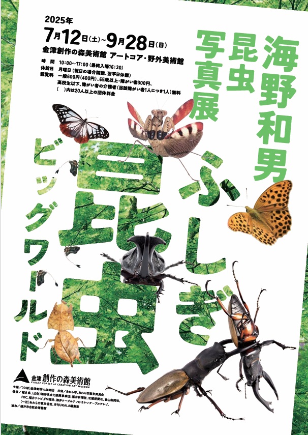 「海野和男 昆虫写真展 ふしぎ昆虫ビッグワールド」金津創作の森美術館