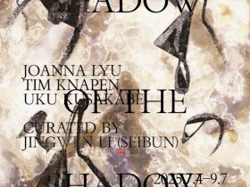 「影の残影 / Shadow of the Shadow」京都芸術センター