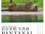 岩合光昭 写真展「PANTANAL　パンタナール　清流がつむぐ動物たちの大湿原」山口県立美術館
