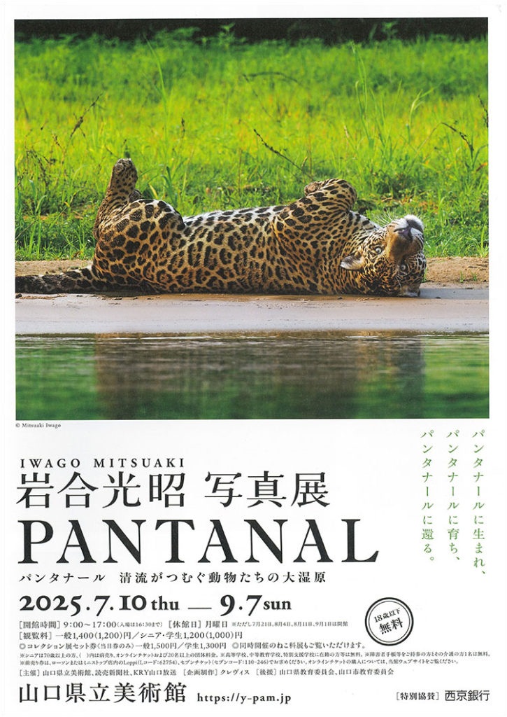 岩合光昭 写真展「PANTANAL　パンタナール　清流がつむぐ動物たちの大湿原」山口県立美術館