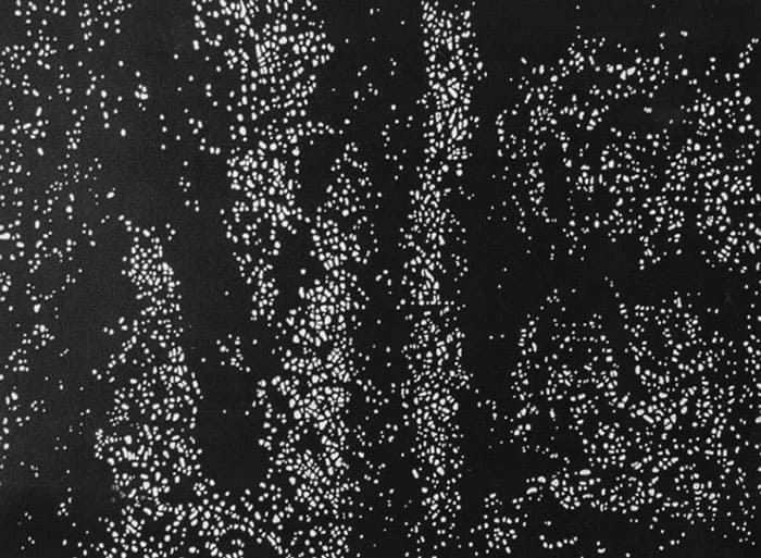 Jessica Diamond | Me consteallation | from the series Tributes to Kusama | 1992-1993 | © Jessica Diamond - Collection FRAC Grand Large - Hauts-de-France