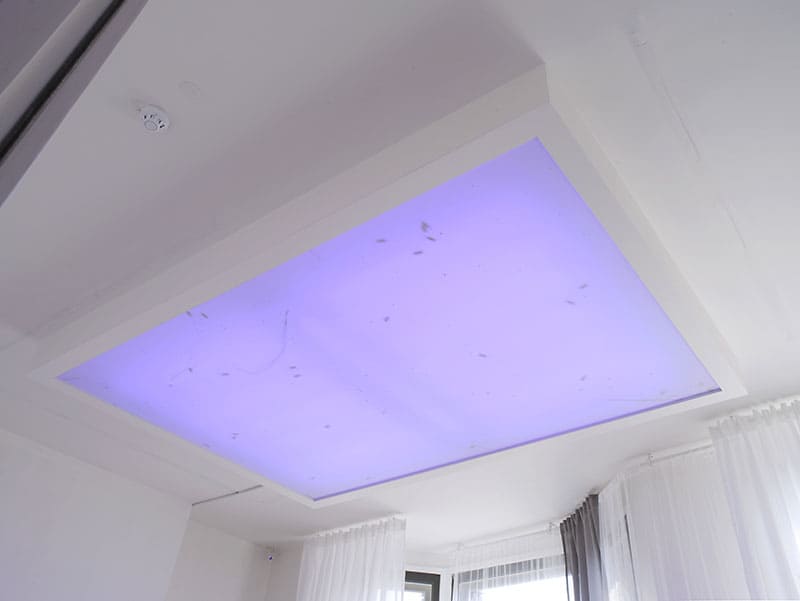 Paul Maheke | I Lost Track of the Swarm | 2016 | ©Adagp, Paris - Collection FRAC Grand LargeーHauts-de-France