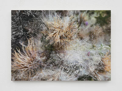 「Nerhol 種蒔きと烏 Misreading Righteousness」埼玉県立近代美術館