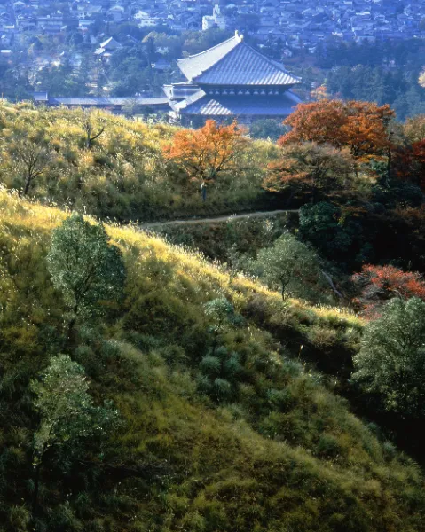 「秋色若草山より望む大仏殿」1981年