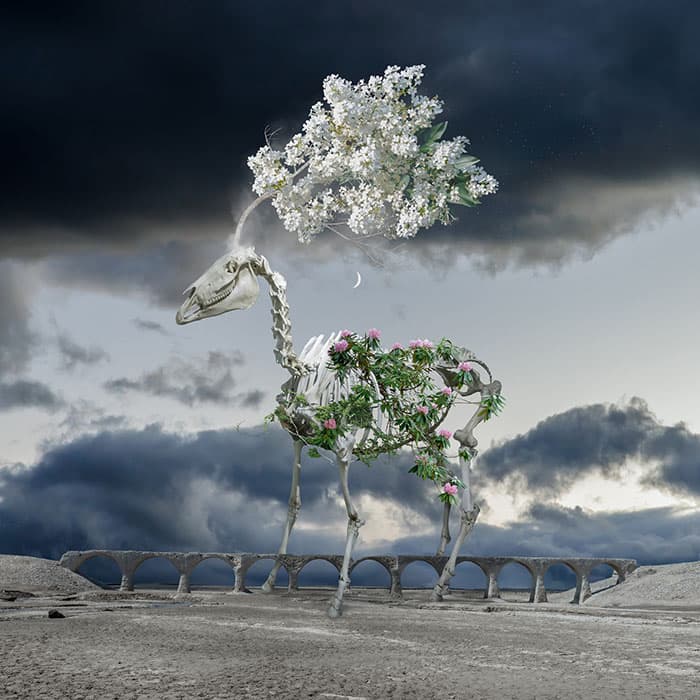 クスミエリカ 《使者》 2023年、作家蔵