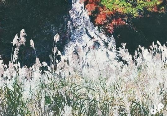 長谷川喜久「白秋」2020年 改組 新 第7回日展出品作品