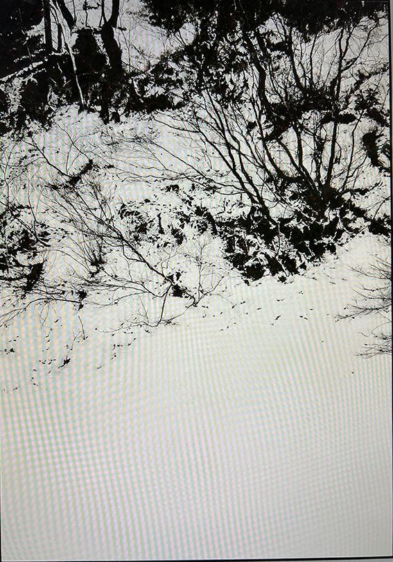 特別展「長谷川喜久 日本画展 色一彩」古川美術館と分館爲三郎