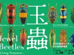 「玉蟲 −生きた宝石−」文京区教育センター