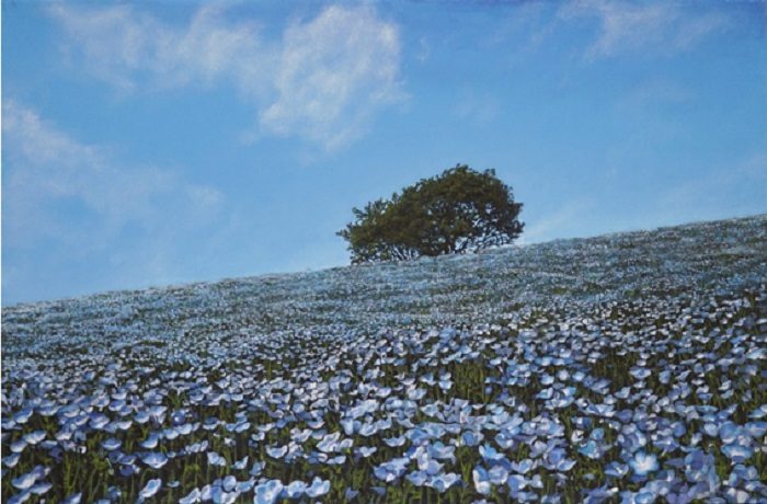 「ネモフィラの丘」　P４