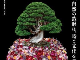 ニコライ バーグマン 箱根 ガーデンズ とトラッドマンズ ボンサイによる共同展示会「自然の造形は、時と文化を超える」ニコライ バーグマン 箱根 ガーデンズ