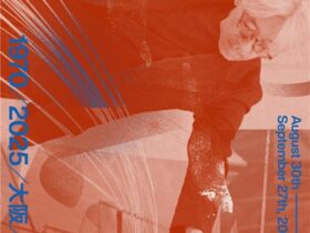 若手作家公募個展「ステップ2025」齋藤春佳×篠田優×油井祥子」VS.（グラングリーン大阪）