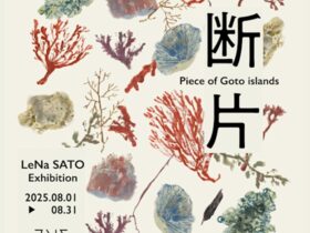 「LeNa SATO Exhibition：断片 – Piece of Goto Islands」てとば美術館