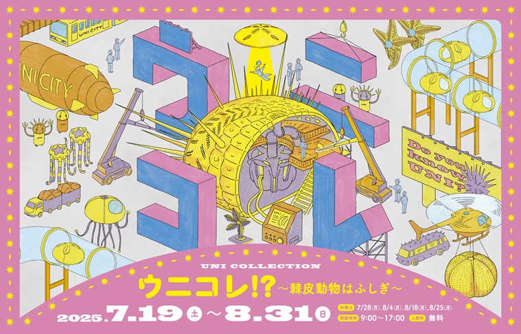 「ウニコレ！？～棘皮（きょくひ）動物はふしぎ～」板橋区立教育科学館