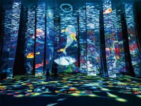 「旅する光の切り絵展」愛媛県美術館