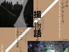 「オランダ×千葉　撮る、物語るーサラ・ファン・ライ&ダヴィット・ファン・デル・レーウ×清水裕貴」千葉県立美術館