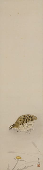 小林古径　「鶉」　昭和9年（1934）　永青文庫蔵　※後期展示