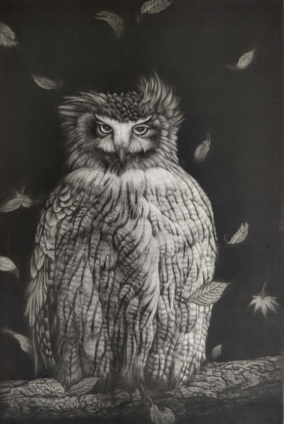 「カムイの風」 メゾチント 680×455㎝