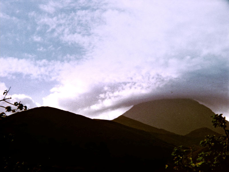 ペドロ・コスタ《アルト・クテロ》2012年　作家蔵