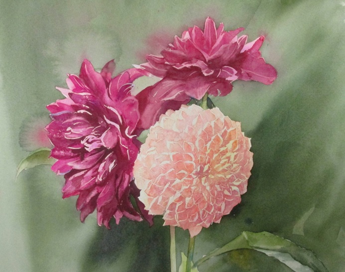 藤原 加奈子「貴花（ダリア）」</span><br />3号、水彩