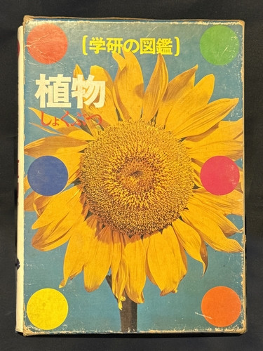 『家族ゲーム』（1983年） 小道具 植物図鑑　森田芳光事務所所蔵
