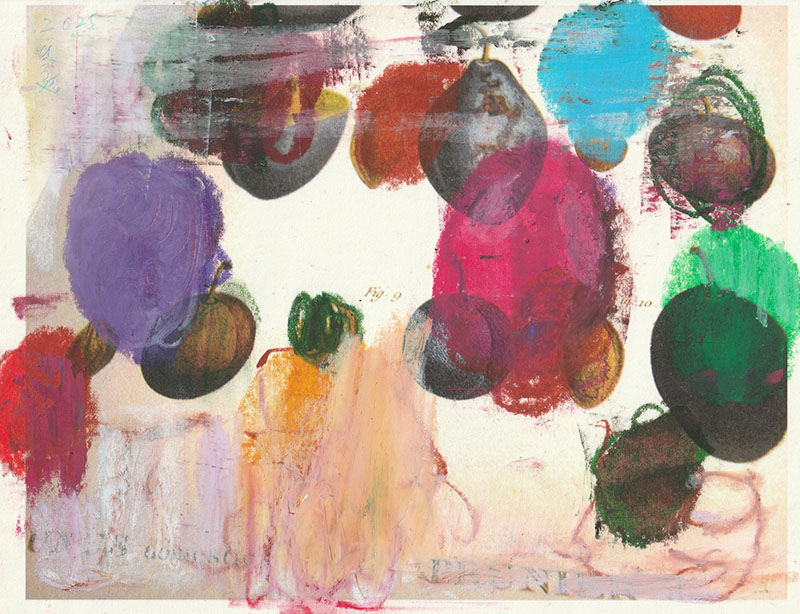 丸亀ひろや《PRUNUS》2025年