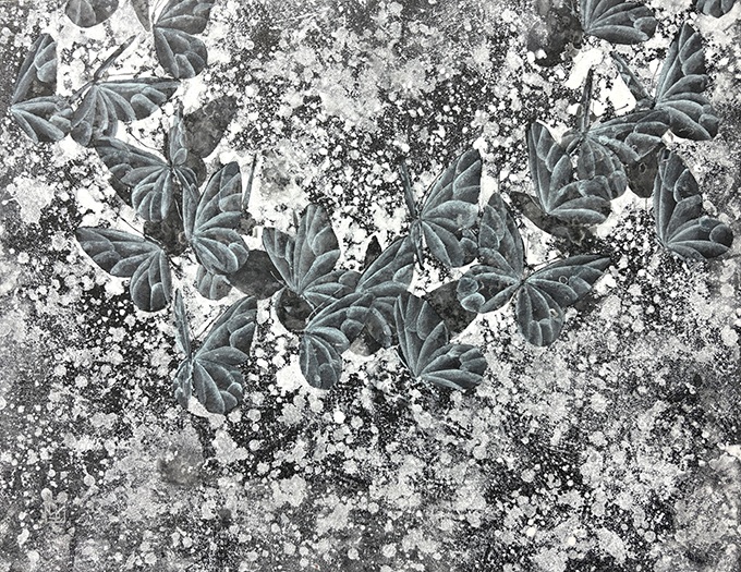 丹羽優香「巡り」6F