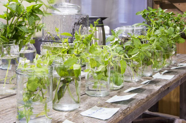 廣瀬智央《Mint Bar（部分）》2021年（リボーンアートフェスティバルでのインスタレーション風景）Photo: Tartaruga　© Satoshi Hirose, 2025