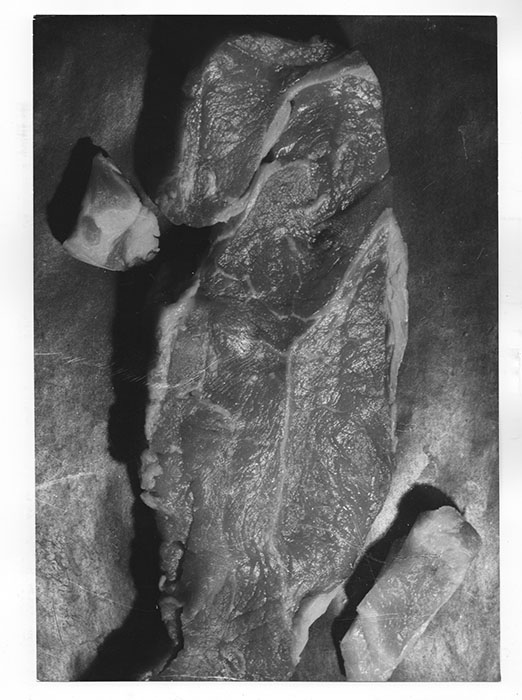 ヴォルス《美しい肉片》1939年　個人蔵