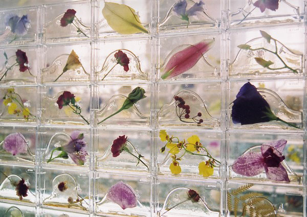 山口啓介《薔薇の箱、レストランのためのショウケース》2007年　植物、樹脂、カセットケース
