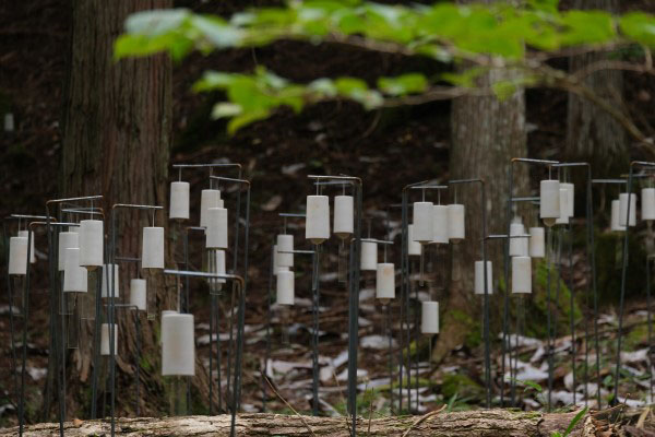 渡辺泰幸＋渡辺さよ《在る音》2024年（清流の国 文化探訪 南飛騨Art Discoveryでの展示風景） 陶、支柱